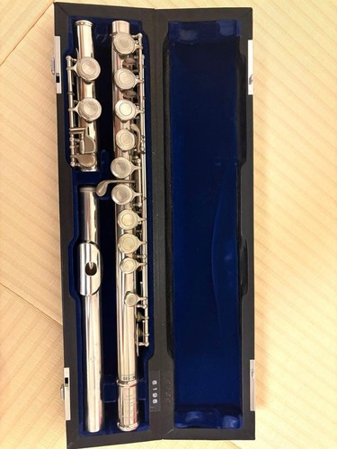 Muramatsu m120 concert flute - m120,