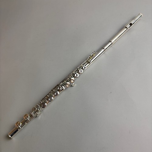 Muramatsu iii flute case - w/,